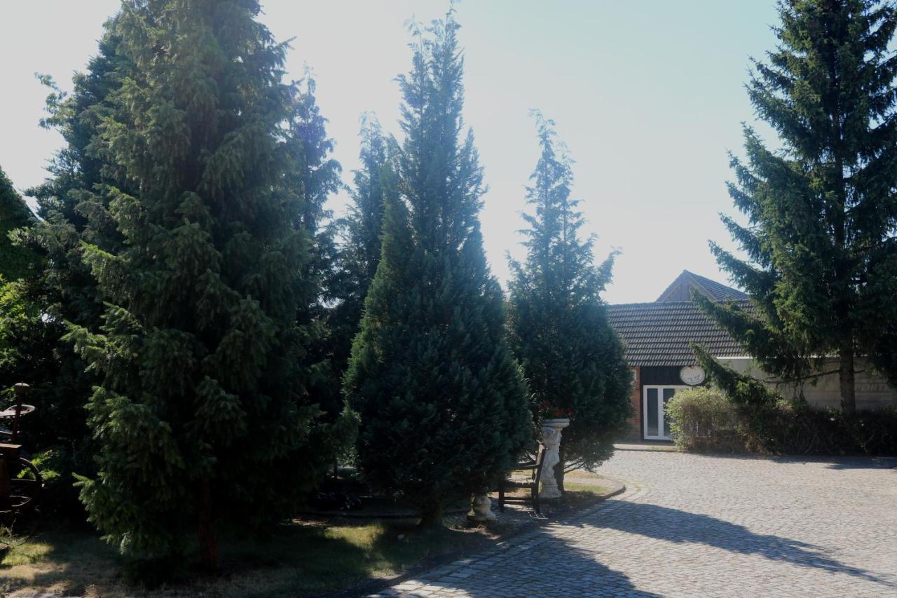 Spreewaldhotel Garni Raddusch Vetschau Luaran gambar